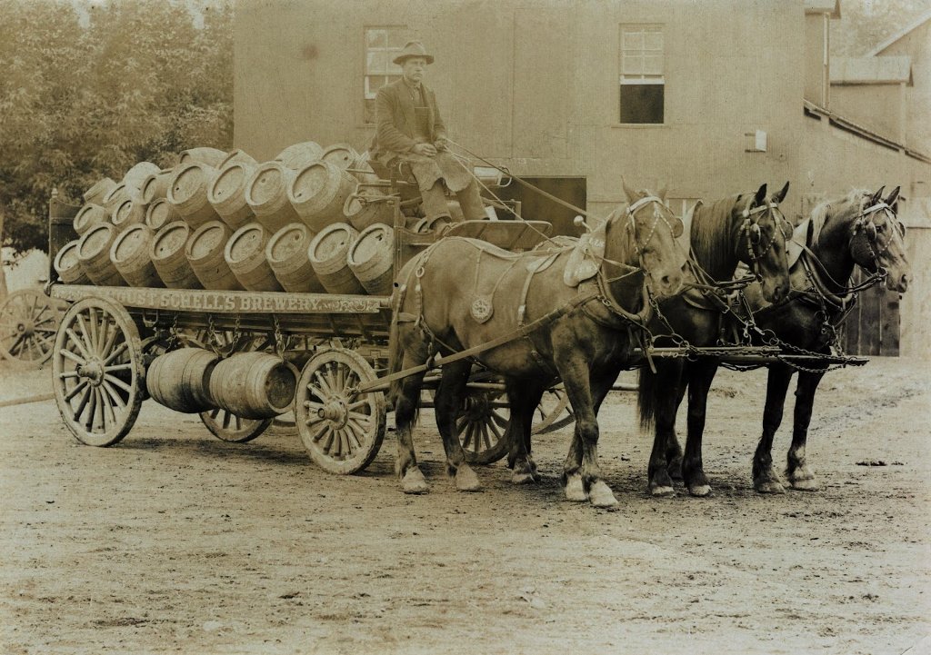 Carro trasporto birra trainato da cavalli